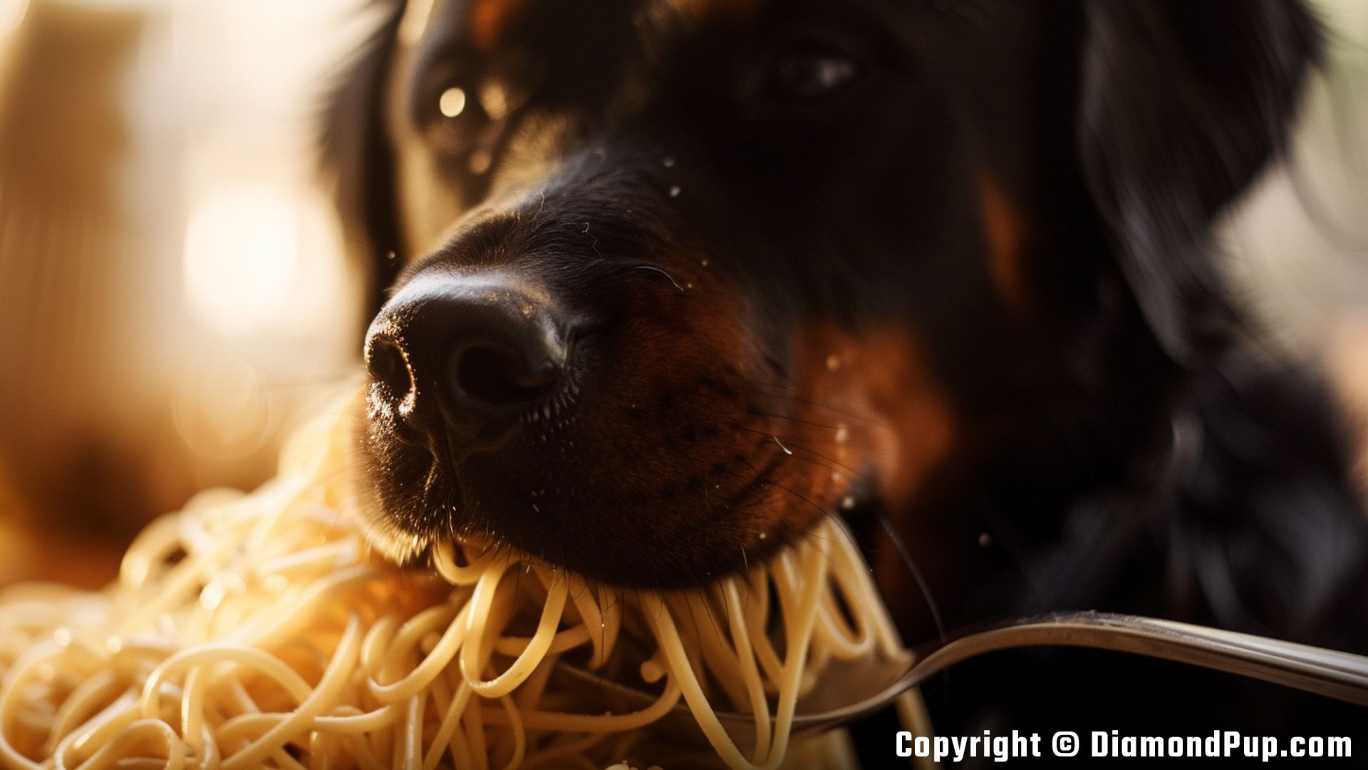 Image of a Playful Rottweiler Snacking on Pasta
