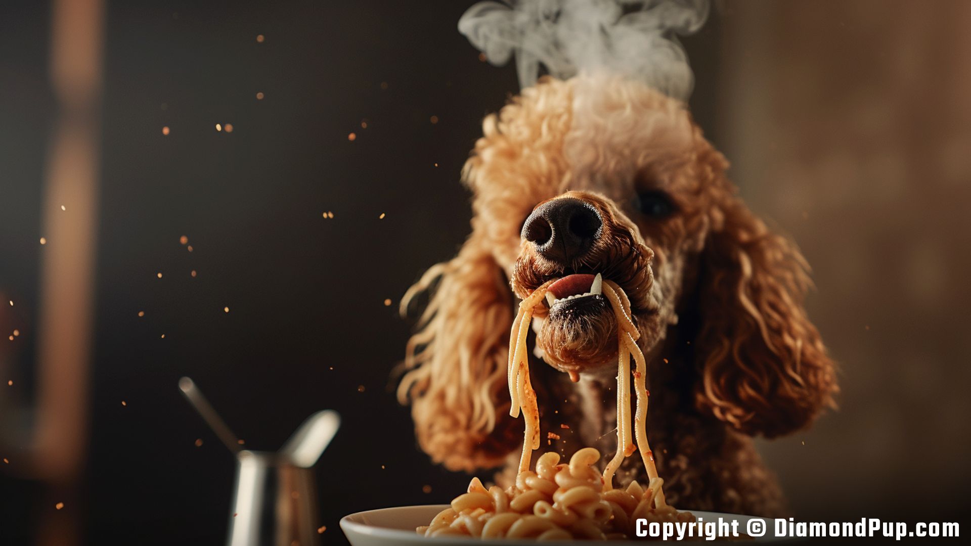 Image of Poodle Eating Pasta
