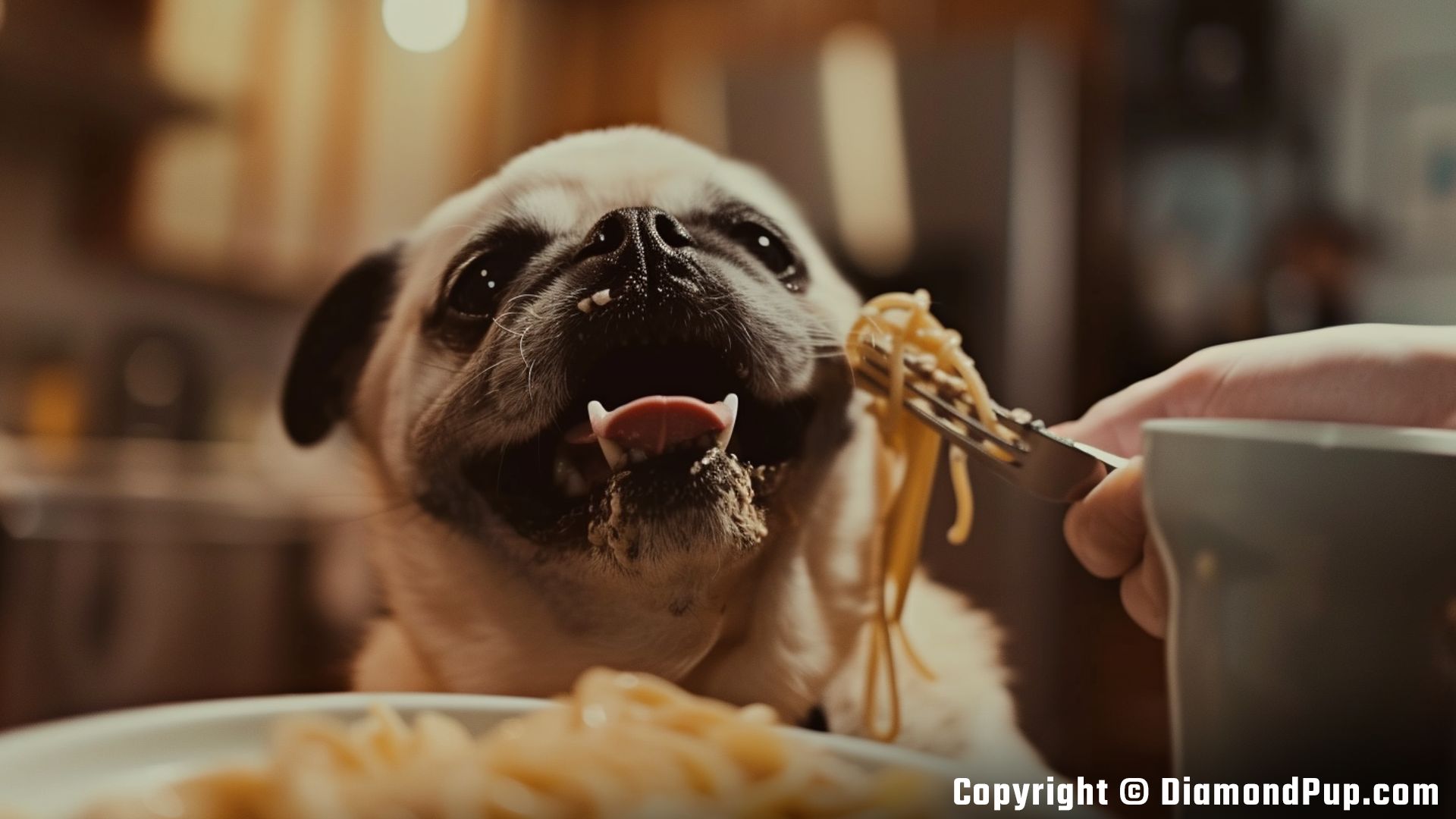 Image of Pug Snacking on Pasta