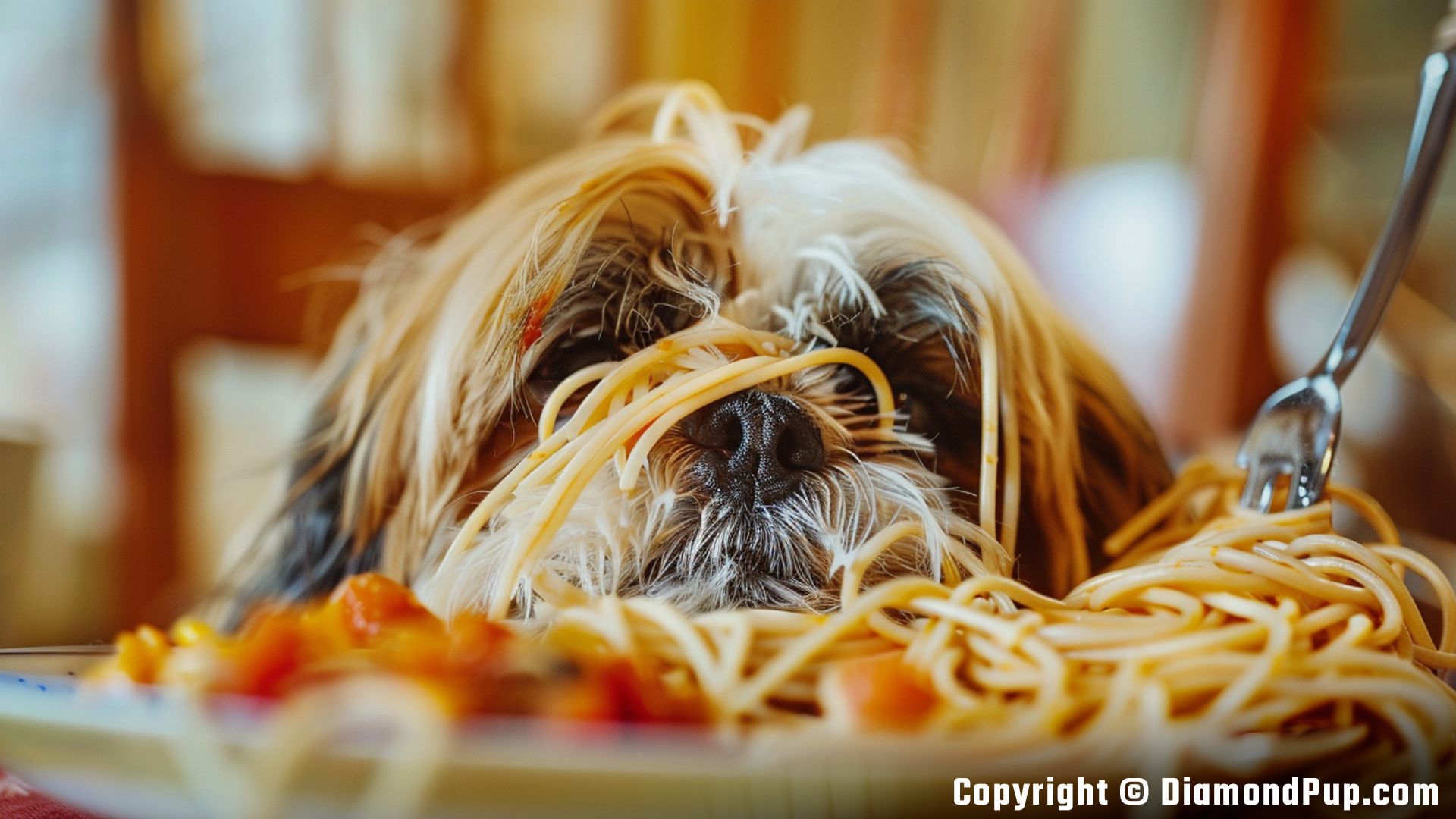 Photo of a Cute Shih Tzu Eating Pasta