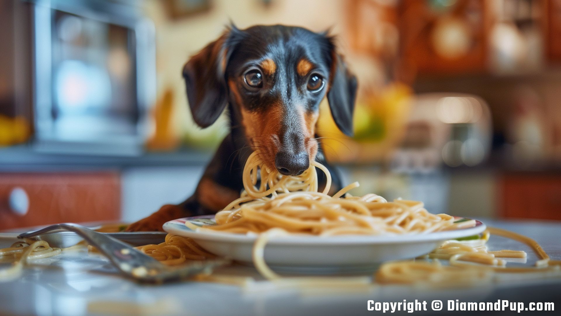 Photo of an Adorable Dachshund Snacking on Pasta