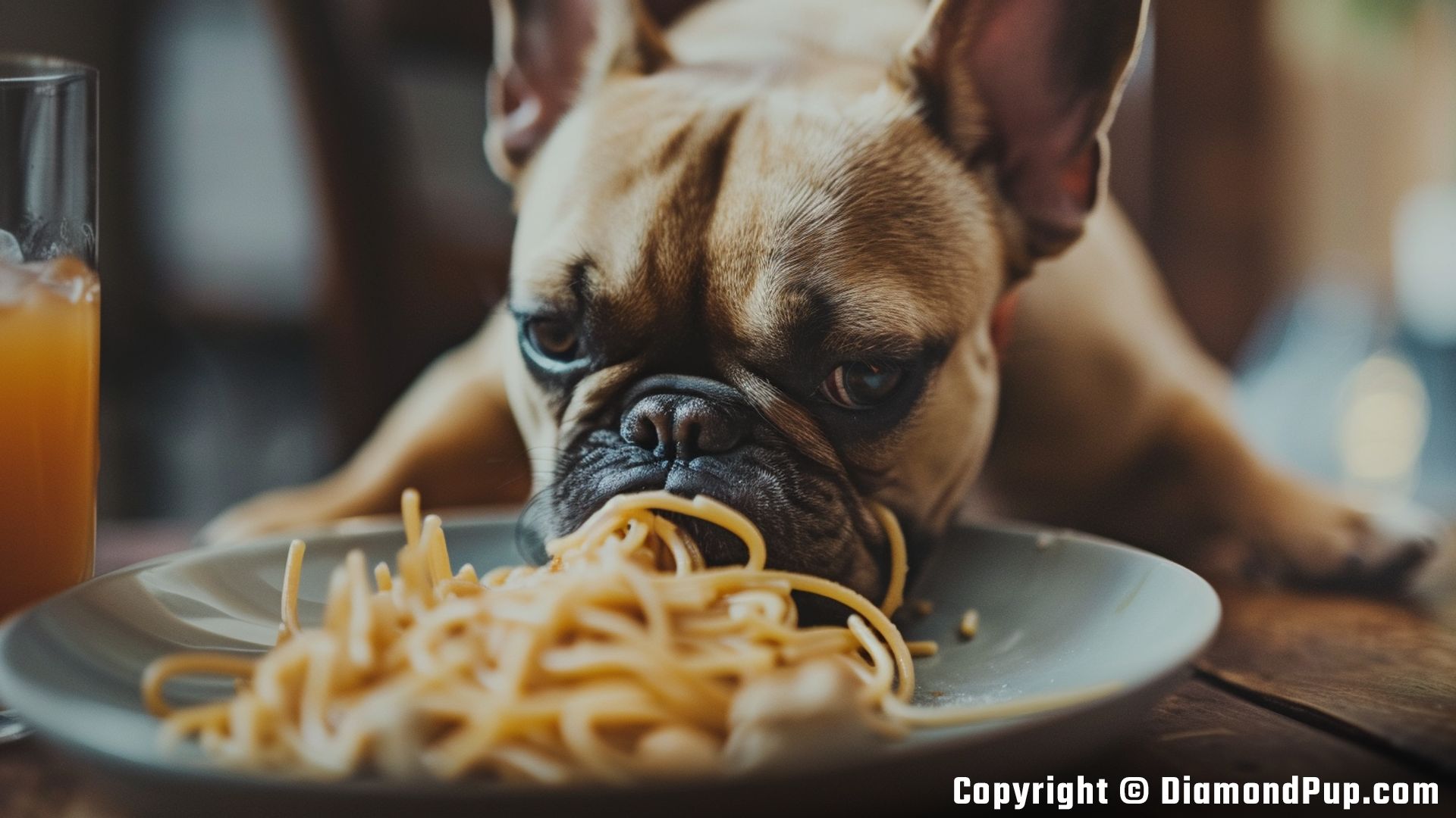 Photo of an Adorable French Bulldog Eating Pasta