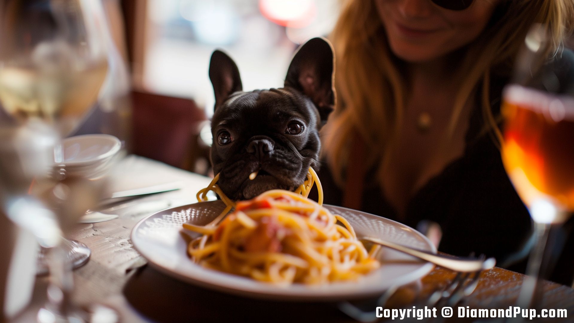 Photo of an Adorable French Bulldog Snacking on Pasta