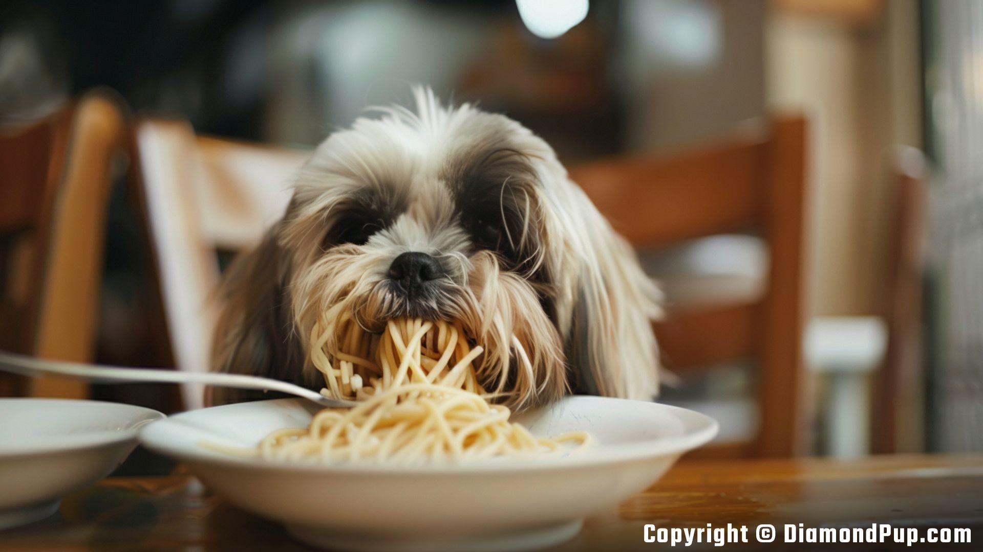 Photo of an Adorable Shih Tzu Eating Pasta