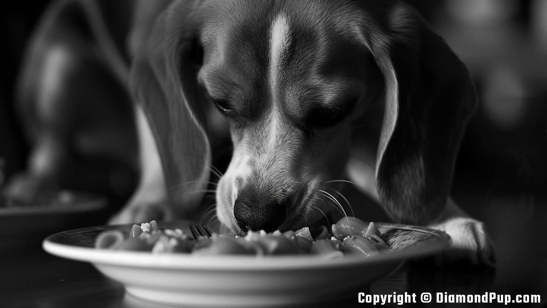 Photograph of a Happy Beagle Eating Pasta