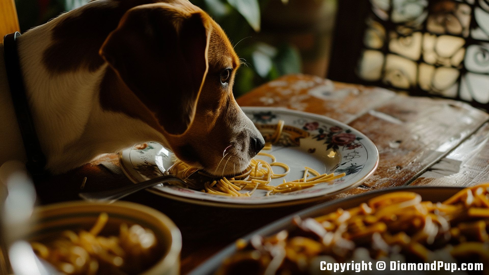 Photograph of a Playful Beagle Snacking on Pasta