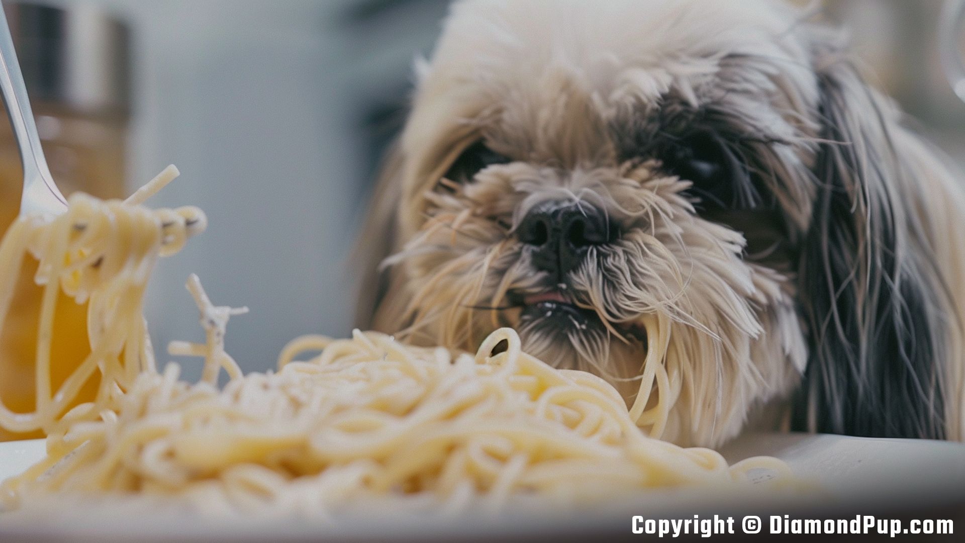 Photograph of a Playful Shih Tzu Snacking on Pasta