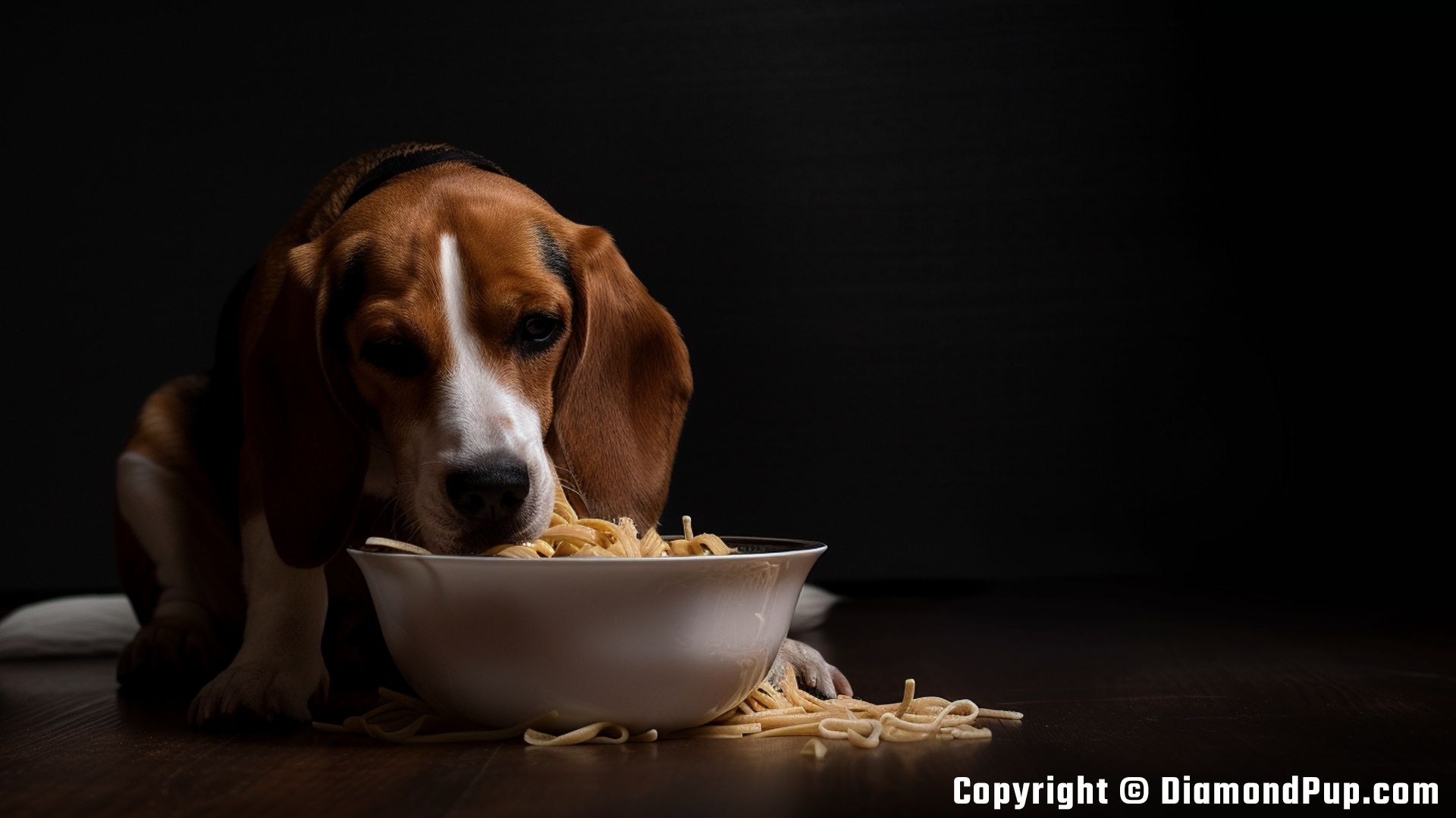 Photograph of an Adorable Beagle Eating Pasta