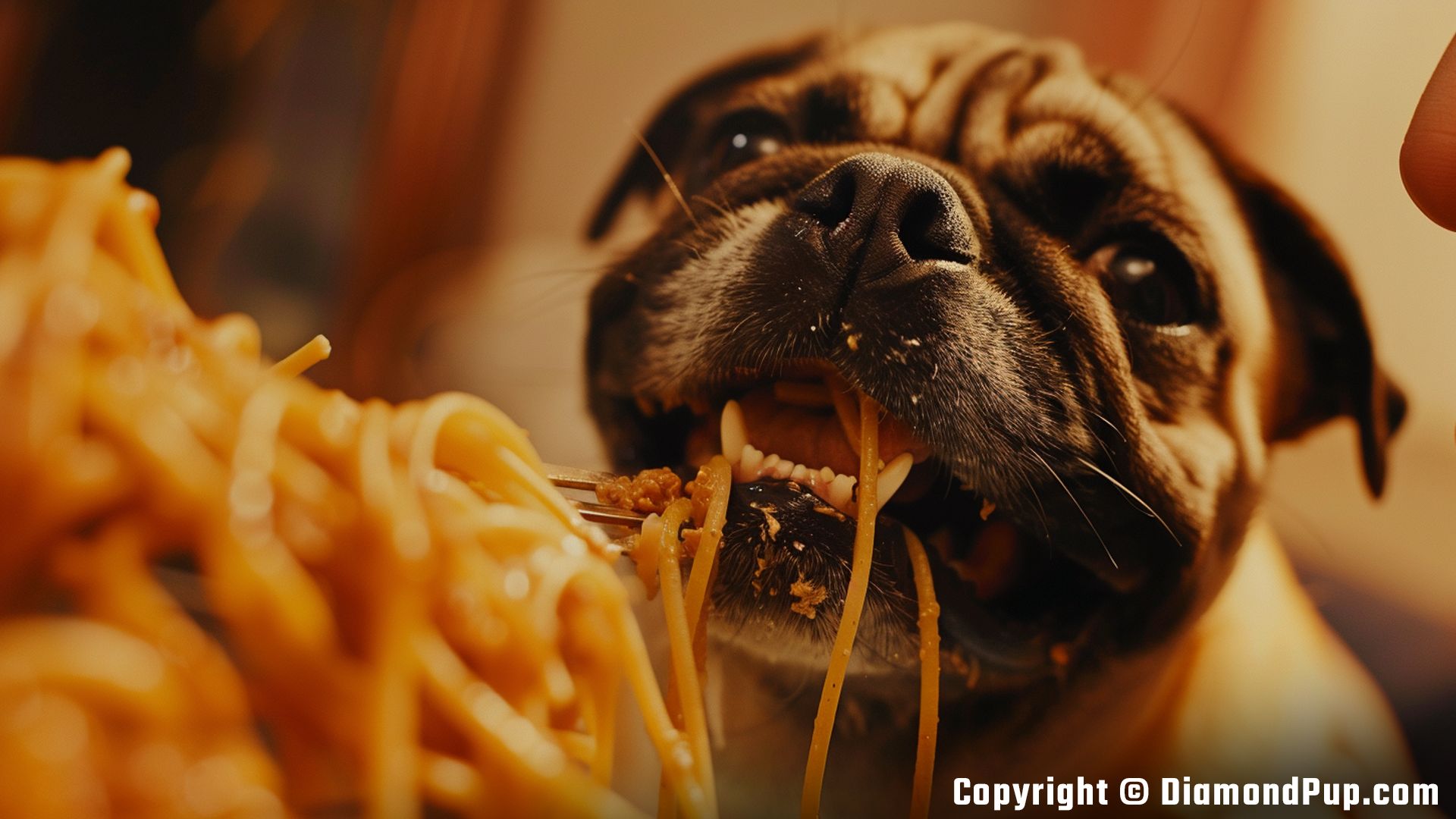 Photograph of an Adorable Pug Eating Pasta