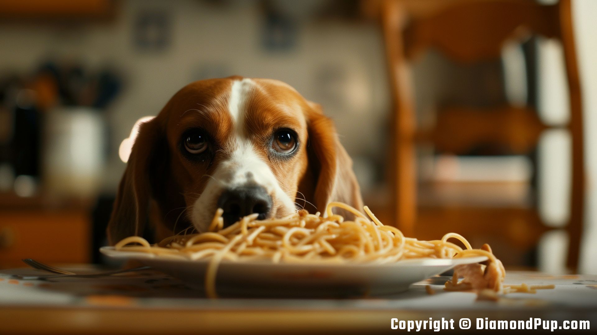 Picture of a Happy Beagle Snacking on Pasta